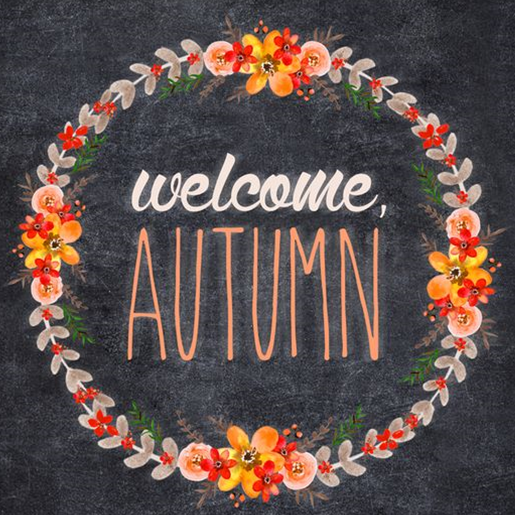 Jewella: Autumn 2016